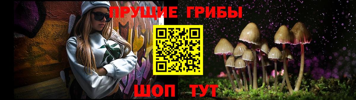 Галлюциногенные грибы Cubensis  Вход с VPN  Зеленокумск  Псилоцибиновые грибы Cubensis 